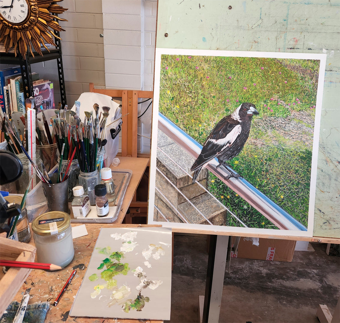 Magpie at Tacking Point Lighthouse