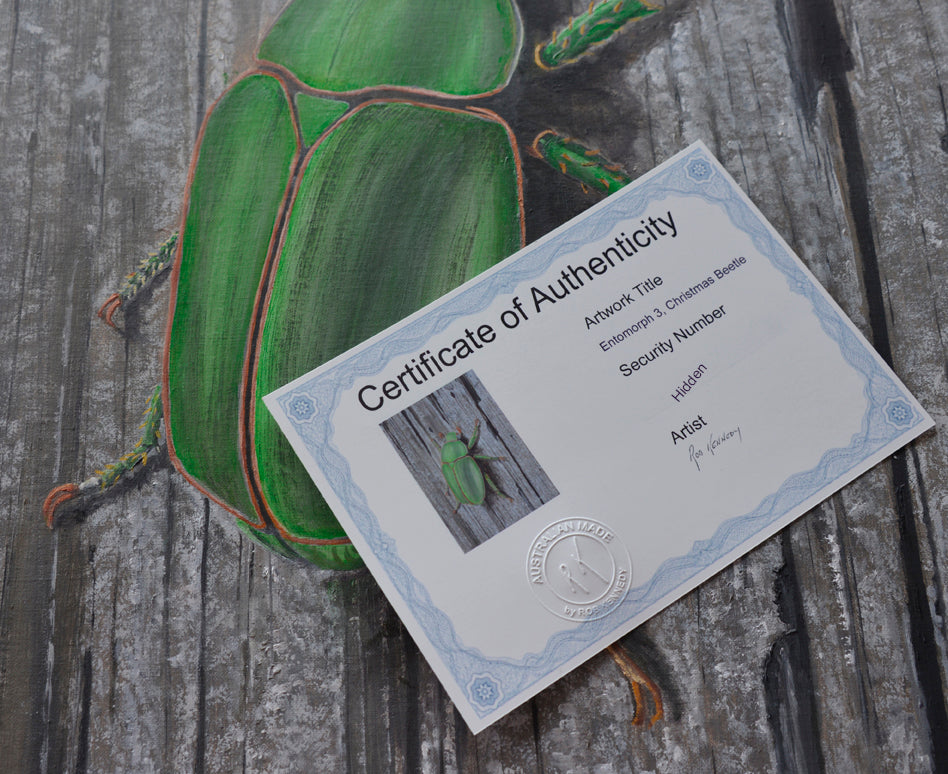 Entomorph 3: Christmas Beetle