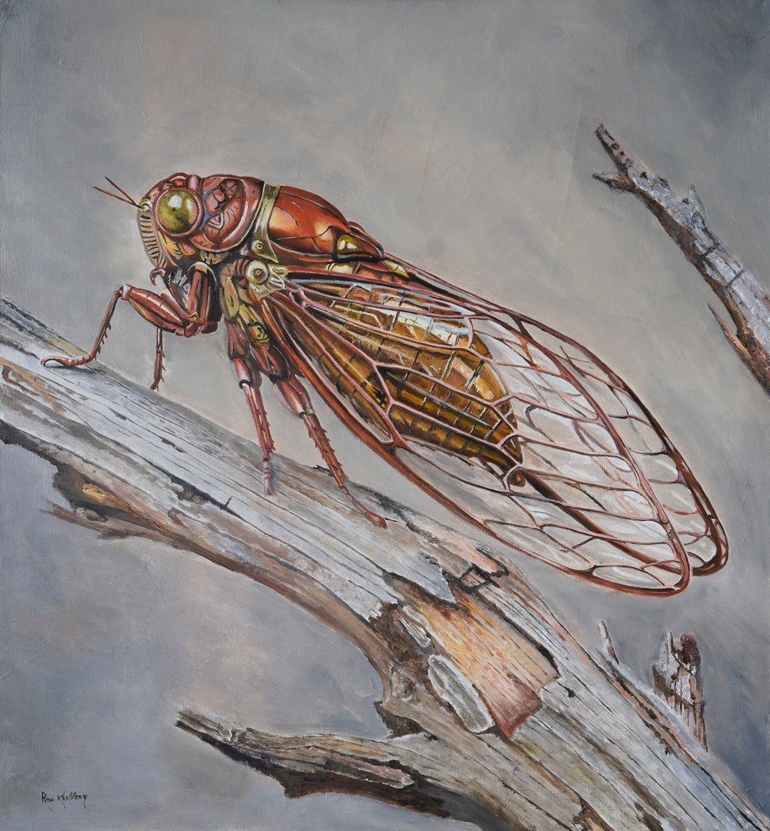 Entomorph 1 – Cicada