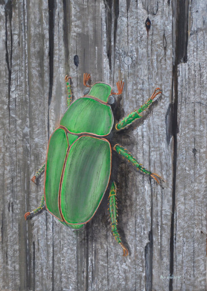 Entomorph 3: Christmas Beetle